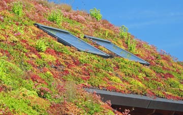 Ainstable living roof systems